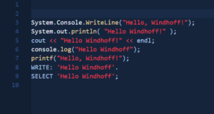 windhoff-group-programmiersprachen