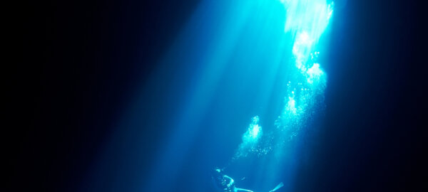 DWC-Deep Dive - windhoff group