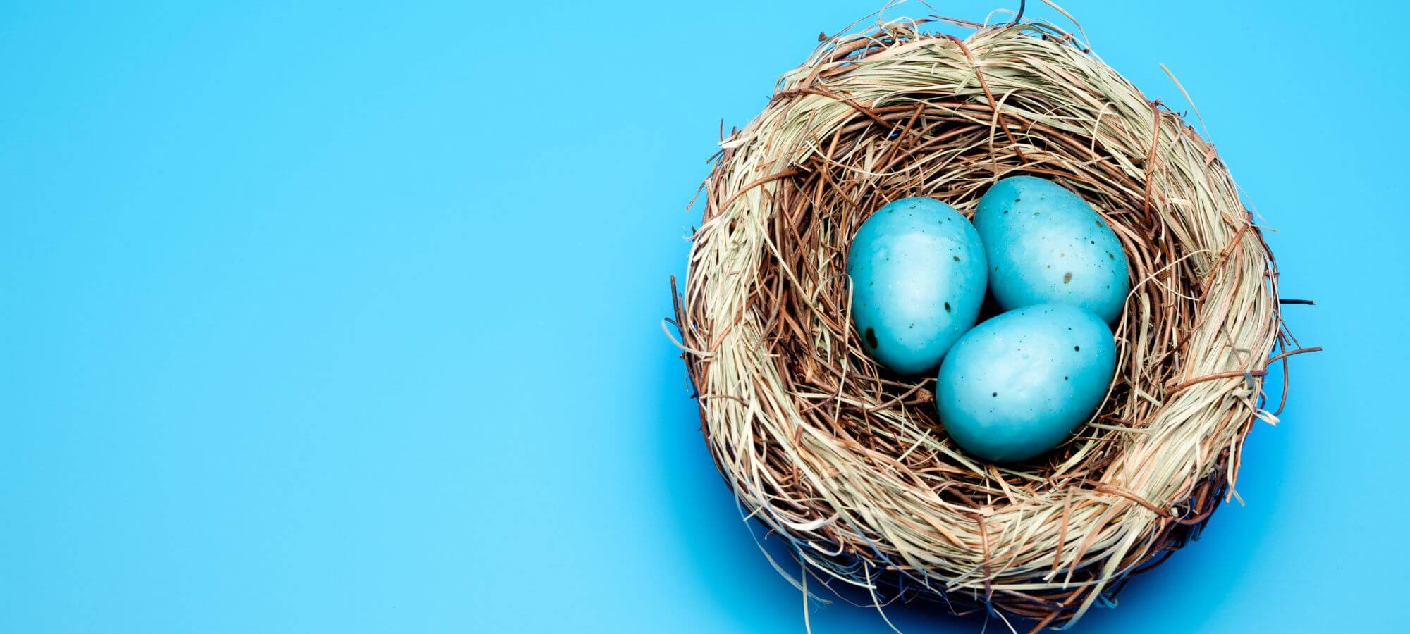 Frohe Ostern 2023-windhoff-group.de